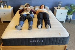 The Honest Helix Plus Mattress Reviews [2024 Guide] | Organic & Natural Mattress Buyer’s Guide: Non-Toxic Sleep Solutions