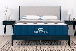 Is Bear Elite Hybrid Mattress Worth It? (Review & Guide) | Organic & Natural Mattress Buyer’s Guide: Non-Toxic Sleep Solutions