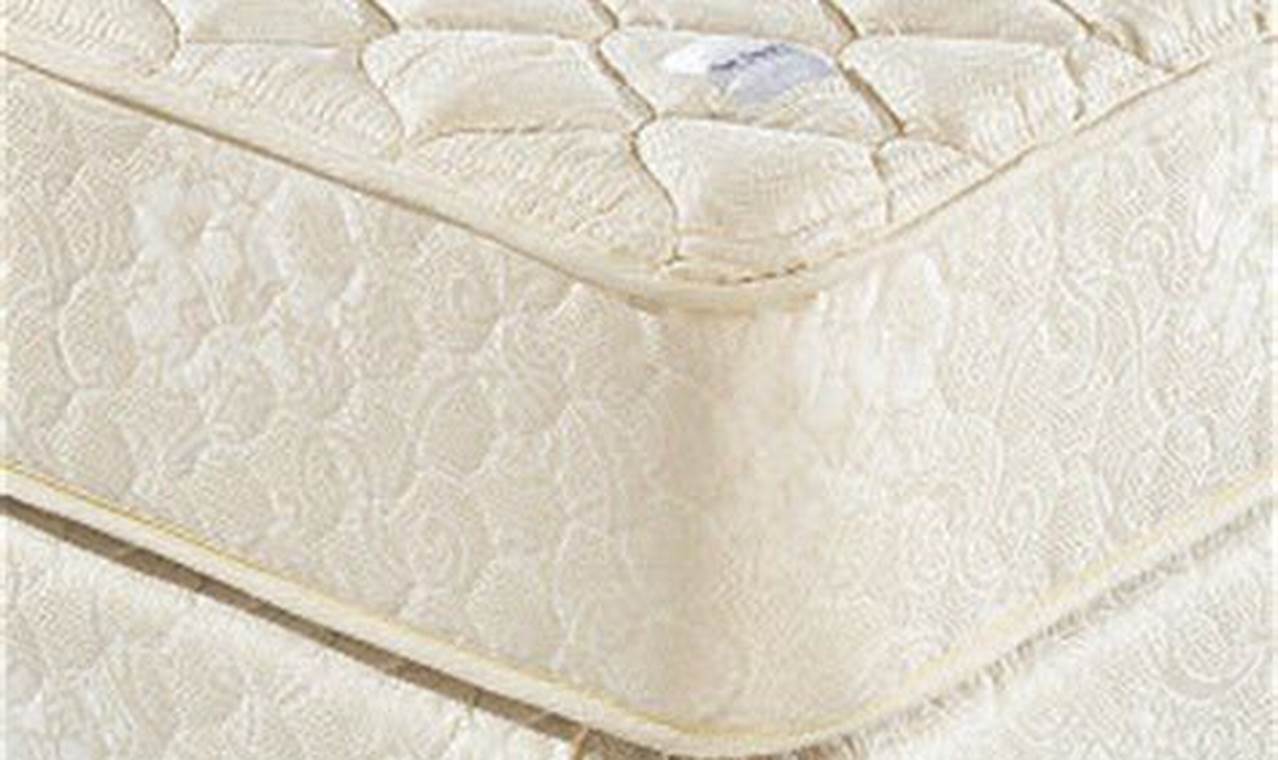 Best Marriott Mattress Reviews: Comfort & Quality | Organic & Natural Mattress Buyer’s Guide: Non-Toxic Sleep Solutions