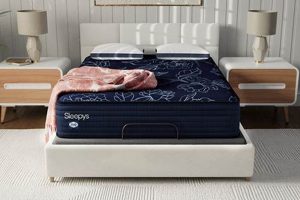 Is Sealy Sleepy Mattress Worth It? Reviews & Ratings Organic & Natural Mattress Buyer’s Guide: Non-Toxic Sleep Solutions Is Sealy Sleepy Mattress Worth It? Reviews & Ratings | Organic & Natural Mattress Buyer’s Guide: Non-Toxic Sleep Solutions