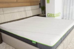The Ultimate Cariloha Mattress Reviews: Is It Worth It? Organic & Natural Mattress Buyer’s Guide: Non-Toxic Sleep Solutions The Ultimate Cariloha Mattress Reviews: Is It Worth It? | Organic & Natural Mattress Buyer’s Guide: Non-Toxic Sleep Solutions