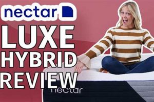 Is Nectar Luxe Hybrid Mattress Review Worth It? (2024) Organic & Natural Mattress Buyer’s Guide: Non-Toxic Sleep Solutions Is Nectar Luxe Hybrid Mattress Review Worth It? (2024) | Organic & Natural Mattress Buyer’s Guide: Non-Toxic Sleep Solutions