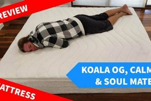 Honest Koala Mattress Review: Is It Worth It? 2024 | Organic & Natural Mattress Buyer’s Guide: Non-Toxic Sleep Solutions