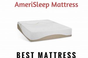 Honest Amerisleep Mattress Reviews: Before You Buy + More | Organic & Natural Mattress Buyer’s Guide: Non-Toxic Sleep Solutions