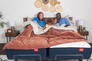 The Ultimate Big Fig Mattress Review: Is It Worth It? Organic & Natural Mattress Buyer’s Guide: Non-Toxic Sleep Solutions The Ultimate Big Fig Mattress Review: Is It Worth It? | Organic & Natural Mattress Buyer’s Guide: Non-Toxic Sleep Solutions