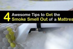 Quick Guide: How to Get Smoke Smell Out of Mattress Fast Organic & Natural Mattress Buyer’s Guide: Non-Toxic Sleep Solutions Quick Guide: How to Get Smoke Smell Out of Mattress Fast | Organic & Natural Mattress Buyer’s Guide: Non-Toxic Sleep Solutions