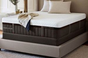 Is Stearns & Foster Mattress Worth It? Review + Guide | Organic & Natural Mattress Buyer’s Guide: Non-Toxic Sleep Solutions