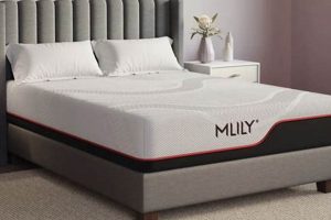 Best Mlily Mattress Review {Year} | Is It Worth It? | Organic & Natural Mattress Buyer’s Guide: Non-Toxic Sleep Solutions