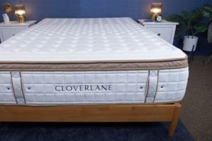 Cloverlane Mattress Reviews: Is It Worth It? [2024] | Organic & Natural Mattress Buyer’s Guide: Non-Toxic Sleep Solutions