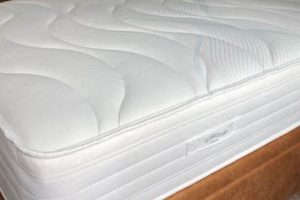 Best Slumberland Mattress Review 2024: Is It Worth It? Organic & Natural Mattress Buyer’s Guide: Non-Toxic Sleep Solutions Best Slumberland Mattress Review 2024: Is It Worth It? | Organic & Natural Mattress Buyer’s Guide: Non-Toxic Sleep Solutions