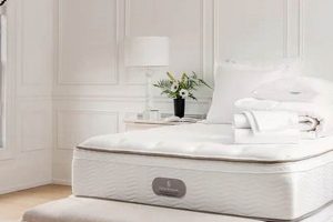 Best Four Seasons Mattress Review: Top Picks & Guide | Organic & Natural Mattress Buyer’s Guide: Non-Toxic Sleep Solutions