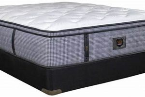 Paramount Mattress Reviews: Is [Mattress Name] Worth It? | Organic & Natural Mattress Buyer’s Guide: Non-Toxic Sleep Solutions