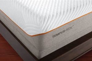 Best Tempurpedic Mattress Review: Is It Worth It? Organic & Natural Mattress Buyer’s Guide: Non-Toxic Sleep Solutions Best Tempurpedic Mattress Review: Is It Worth It? | Organic & Natural Mattress Buyer’s Guide: Non-Toxic Sleep Solutions