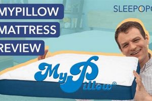 My Pillow Mattress Reviews: Is [Brand] Worth It? | Organic & Natural Mattress Buyer’s Guide: Non-Toxic Sleep Solutions