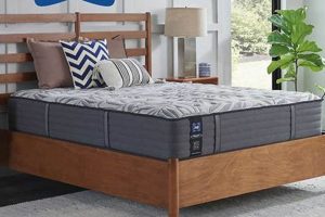 Sealy Mount Auburn Mattress: Expert Reviews & Ratings Organic & Natural Mattress Buyer’s Guide: Non-Toxic Sleep Solutions Sealy Mount Auburn Mattress: Expert Reviews & Ratings | Organic & Natural Mattress Buyer’s Guide: Non-Toxic Sleep Solutions
