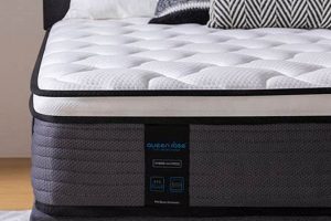 Best Queen Rose Mattress Reviews: Find Your Perfect Sleep! | Organic & Natural Mattress Buyer’s Guide: Non-Toxic Sleep Solutions