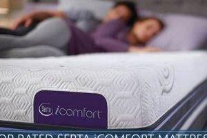 Serta iComfort Mattress Reviews: Before You Buy + Tips Organic & Natural Mattress Buyer’s Guide: Non-Toxic Sleep Solutions Serta iComfort Mattress Reviews: Before You Buy + Tips | Organic & Natural Mattress Buyer’s Guide: Non-Toxic Sleep Solutions
