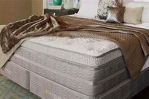 Prefix Southerland Mattress Reviews: Find Suffix! Organic & Natural Mattress Buyer’s Guide: Non-Toxic Sleep Solutions Prefix Southerland Mattress Reviews: Find Suffix! | Organic & Natural Mattress Buyer’s Guide: Non-Toxic Sleep Solutions