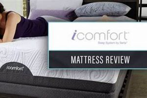 iComfort Mattress Reviews: Is It Worth It? [2024] | Organic & Natural Mattress Buyer’s Guide: Non-Toxic Sleep Solutions