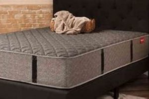 Metro Mattress Reviews: Is [Brand] Worth It? | Organic & Natural Mattress Buyer’s Guide: Non-Toxic Sleep Solutions