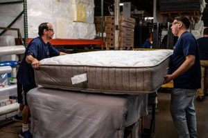 Best Mattress Factory Reviews 2024: Find Yours! | Organic & Natural Mattress Buyer’s Guide: Non-Toxic Sleep Solutions