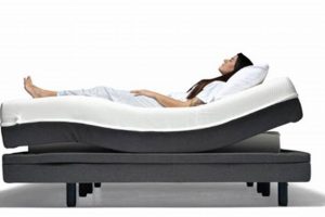 Best Adjusta Mattress Reviews 2024: Expert & User | Organic & Natural Mattress Buyer’s Guide: Non-Toxic Sleep Solutions