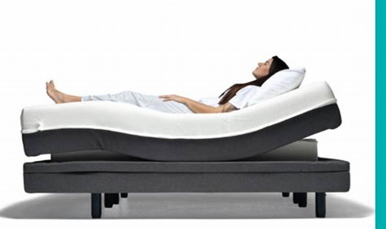 Best Adjusta Mattress Reviews 2024: Expert & User | Organic & Natural Mattress Buyer’s Guide: Non-Toxic Sleep Solutions