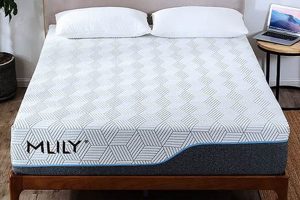 Honest Mlily Mattress Reviews: Is It Right For YOU? | Organic & Natural Mattress Buyer’s Guide: Non-Toxic Sleep Solutions