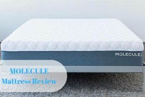 The Molecule Mattress Review: [Year] - Is It Worth It? | Organic & Natural Mattress Buyer’s Guide: Non-Toxic Sleep Solutions