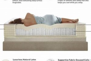 Best Latex Mattress Factory Reviews: Top Brands & More | Organic & Natural Mattress Buyer’s Guide: Non-Toxic Sleep Solutions