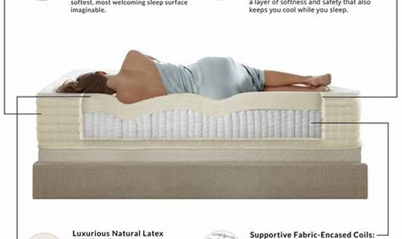 Best Latex Mattress Factory Reviews: Top Brands & More | Organic & Natural Mattress Buyer’s Guide: Non-Toxic Sleep Solutions