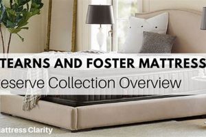 Stearns &amp; Foster Reserve Mattress Reviews: Is It Worth It? | Organic & Natural Mattress Buyer’s Guide: Non-Toxic Sleep Solutions