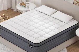 Is Neeva 12 Hybrid Mattress Worth It? Reviews & Analysis | Organic & Natural Mattress Buyer’s Guide: Non-Toxic Sleep Solutions