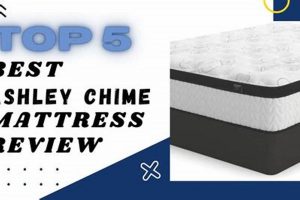 Is Chime Mattress Review Worth It? [2024 Guide] | Organic & Natural Mattress Buyer’s Guide: Non-Toxic Sleep Solutions