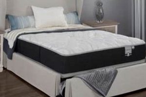 Read City Mattress Outlet Reviews: Best Sleep Starts Here! | Organic & Natural Mattress Buyer’s Guide: Non-Toxic Sleep Solutions