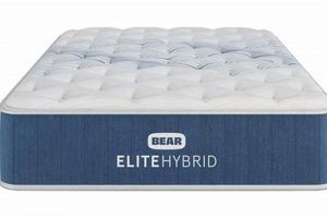 Bear Elite Hybrid Mattress Reviews: [Year] - Is It Worth It? | Organic & Natural Mattress Buyer’s Guide: Non-Toxic Sleep Solutions