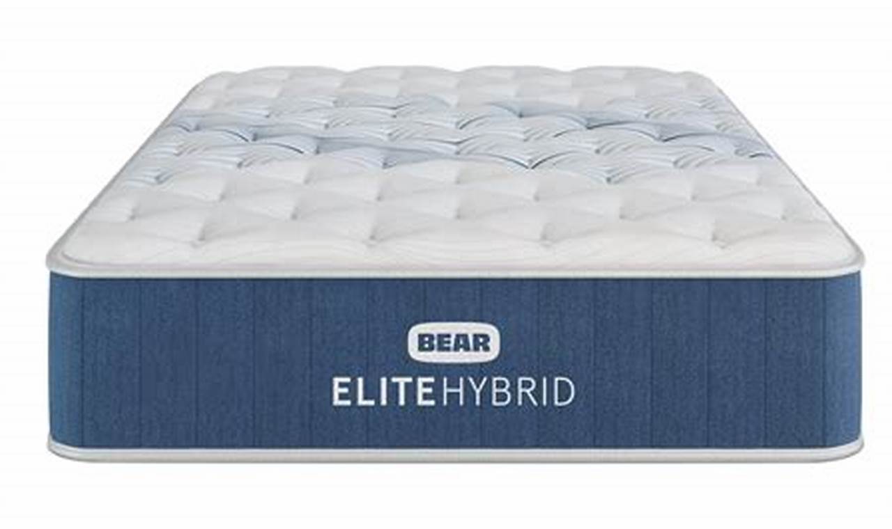 Bear Elite Hybrid Mattress Reviews: [Year] - Is It Worth It? | Organic & Natural Mattress Buyer’s Guide: Non-Toxic Sleep Solutions