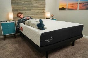Is Cocoon Mattress Worth It? Reviews & Rating | Organic & Natural Mattress Buyer’s Guide: Non-Toxic Sleep Solutions