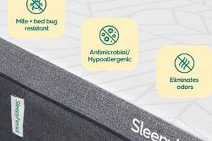 The Ultimate Sleepyhead Mattress Topper Reviews: Is It Worth It? | Organic & Natural Mattress Buyer’s Guide: Non-Toxic Sleep Solutions