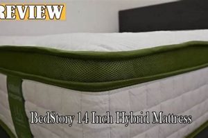 Bedstory Mattress Reviews: Before & After You Buy | Organic & Natural Mattress Buyer’s Guide: Non-Toxic Sleep Solutions