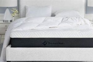 Best Hotel Premier Collection Mattress Reviews: Sleep Like Royalty! Organic & Natural Mattress Buyer’s Guide: Non-Toxic Sleep Solutions Best Hotel Premier Collection Mattress Reviews: Sleep Like Royalty! | Organic & Natural Mattress Buyer’s Guide: Non-Toxic Sleep Solutions