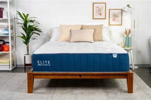 The Honest Bear Hybrid Mattress Review [2024 Tests] | Organic & Natural Mattress Buyer’s Guide: Non-Toxic Sleep Solutions