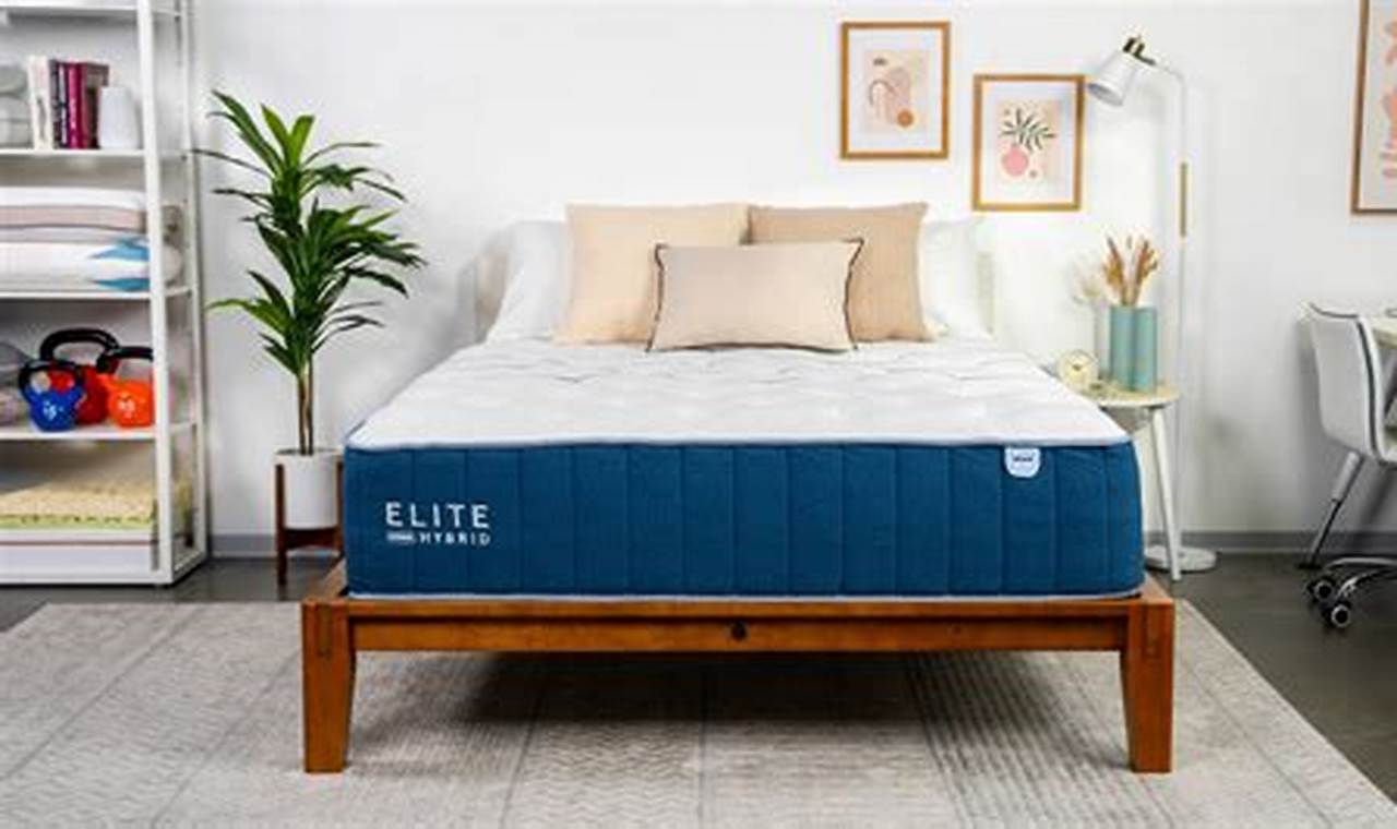 The Honest Bear Hybrid Mattress Review [2024 Tests] | Organic & Natural Mattress Buyer’s Guide: Non-Toxic Sleep Solutions