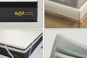 Nolah Mattress Review: Is It Right For You? [2024] | Organic & Natural Mattress Buyer’s Guide: Non-Toxic Sleep Solutions