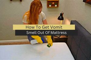 Mattress Smells Gone! How to Get Smell Out of Mattress FAST | Organic & Natural Mattress Buyer’s Guide: Non-Toxic Sleep Solutions