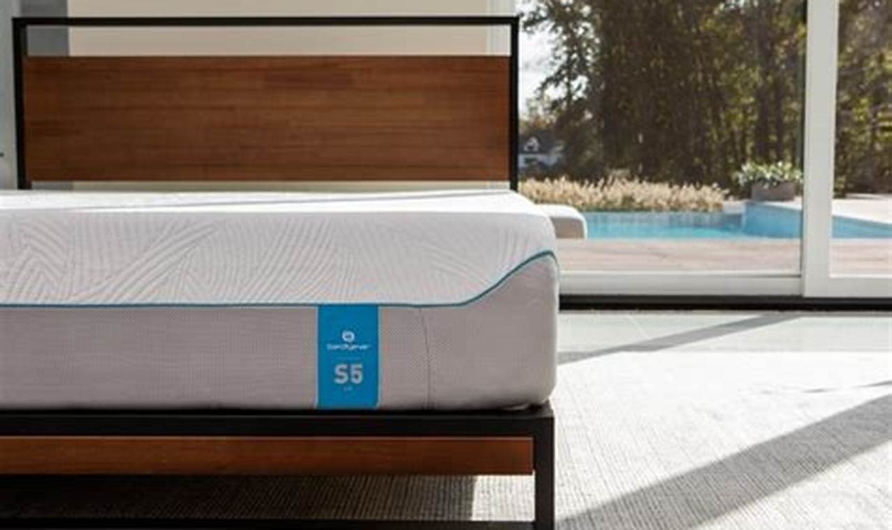 Honest BedGear Mattress Reviews: Ratings & Comparisons Organic & Natural Mattress Buyer’s Guide: Non-Toxic Sleep Solutions Honest BedGear Mattress Reviews: Ratings & Comparisons | Organic & Natural Mattress Buyer’s Guide: Non-Toxic Sleep Solutions