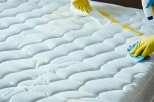 Get Dried Urine Out of Mattress: The Ultimate Guide Organic & Natural Mattress Buyer’s Guide: Non-Toxic Sleep Solutions Get Dried Urine Out of Mattress: The Ultimate Guide | Organic & Natural Mattress Buyer’s Guide: Non-Toxic Sleep Solutions