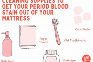 Quick Guide: How to Get Period Stain Out of Mattress Easily | Organic & Natural Mattress Buyer’s Guide: Non-Toxic Sleep Solutions
