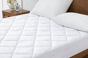 Best American Made Mattress Pads: Shop Quality & Comfort Organic & Natural Mattress Buyer’s Guide: Non-Toxic Sleep Solutions Best American Made Mattress Pads: Shop Quality & Comfort | Organic & Natural Mattress Buyer’s Guide: Non-Toxic Sleep Solutions