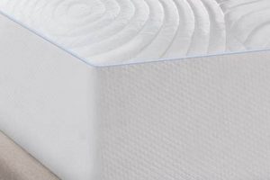 Enhance Your Sleep: Tempurpedic Mattress Pad Full Comfort! Organic & Natural Mattress Buyer’s Guide: Non-Toxic Sleep Solutions Enhance Your Sleep: Tempurpedic Mattress Pad Full Comfort! | Organic & Natural Mattress Buyer’s Guide: Non-Toxic Sleep Solutions